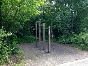 Pad Rec Pull Up Bars